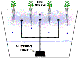 aeroponics-full.gif